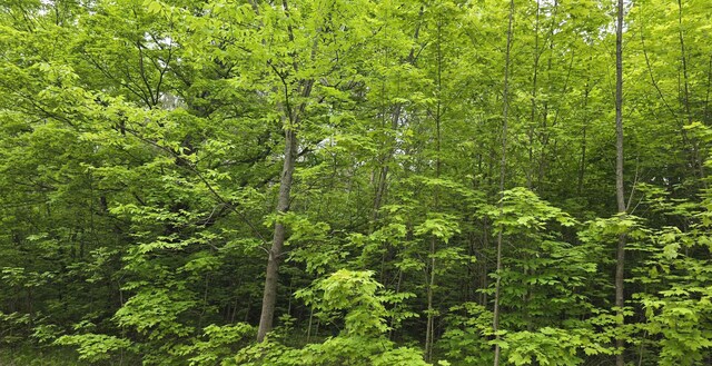 LOT1 Hagni Rd, Kalkaska, MI 49646 - photo 6