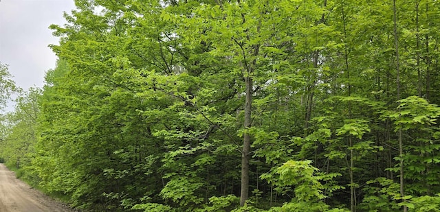 LOT1 Hagni Rd, Kalkaska, MI 49646 - photo 2