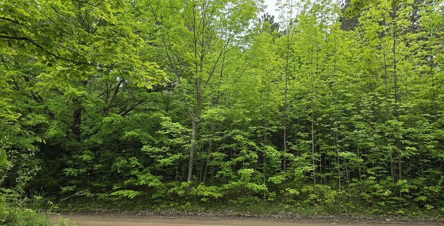 LOT1 Hagni Rd, Kalkaska, MI 49646 - photo 5