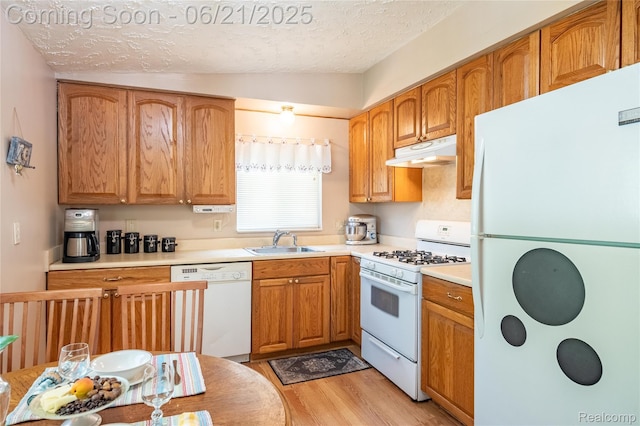 8311 Gulley St, Taylor, MI 48180 - kitchen with white appliances, under cabinet range hood, light wood finished floors, lofted ceiling, and light countertops