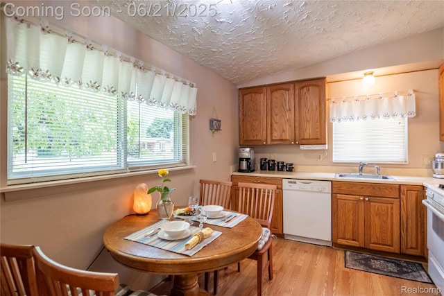 8311 Gulley St, Taylor, MI 48180 - kitchen with dishwasher, vaulted ceiling, a textured ceiling, light countertops, and light wood-style floors