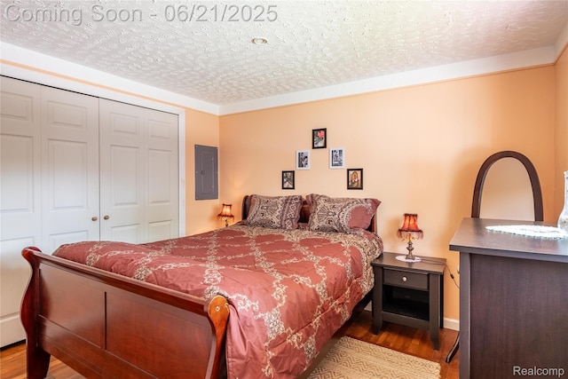 8311 Gulley St, Taylor, MI 48180 - bedroom with wood finished floors, electric panel, a closet, and a textured ceiling