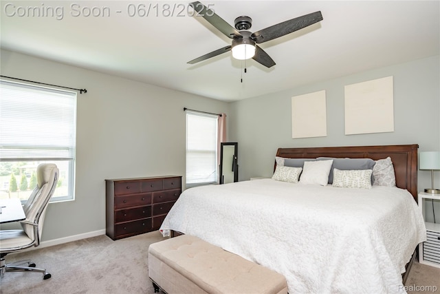 3560 Amber Oaks Dr, Howell, MI 48855 - photo 14