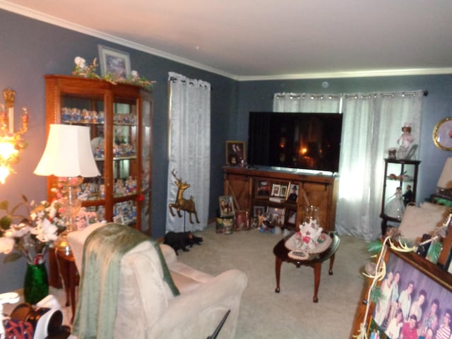 205 Prentiss St, Allen, MI 49227 - living room with carpet floors and crown molding