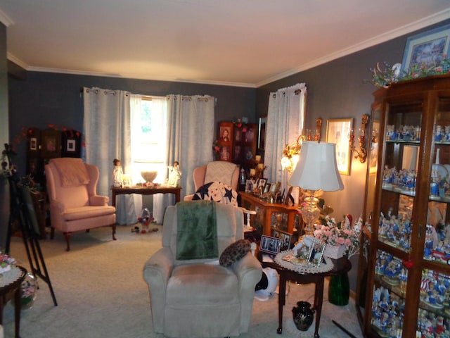 205 Prentiss St, Allen, MI 49227 - sitting room with ornamental molding and carpet floors