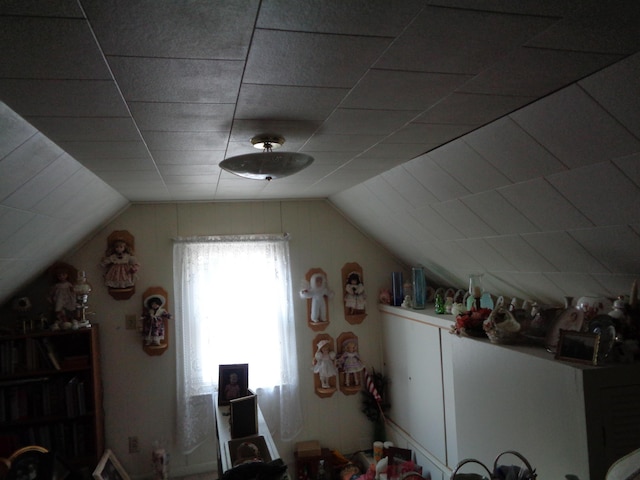 205 Prentiss St, Allen, MI 49227 - bonus room featuring lofted ceiling