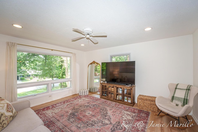 6072 Del Cano Dr SE, Grand Rapids, MI 49546 - living room with wood finished floors, ceiling fan, and recessed lighting