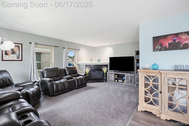 24462 Christian Dr, Flat Rock, MI 48134 - living area featuring a tiled fireplace and wood finished floors