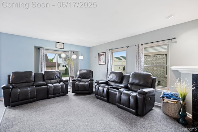 24462 Christian Dr, Flat Rock, MI 48134 - home theater featuring carpet and baseboards