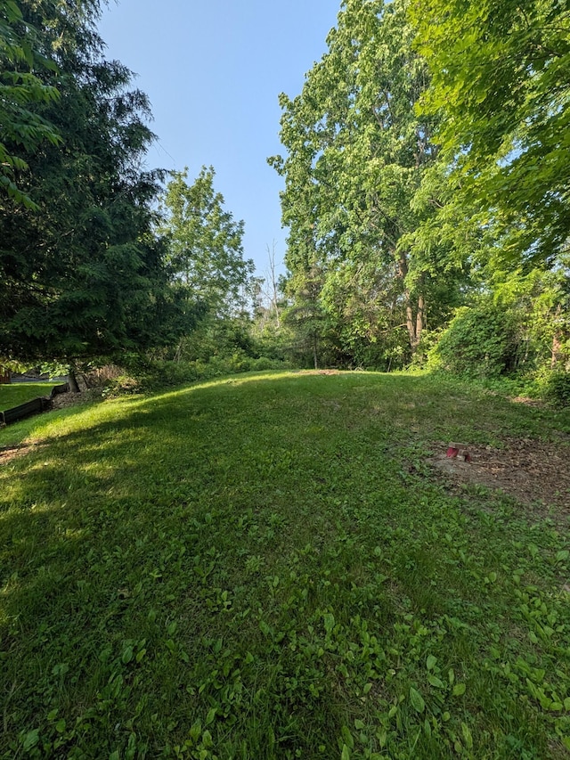 4989 W Jordan Rd, Weidman, MI 48893 - view of grassy yard