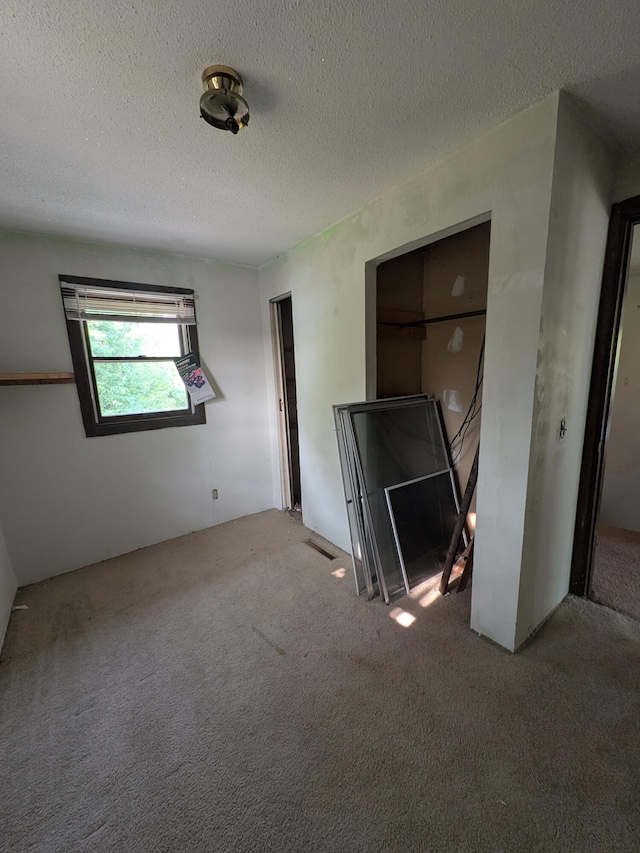 4989 W Jordan Rd, Weidman, MI 48893 - unfurnished living room featuring carpet and a textured ceiling