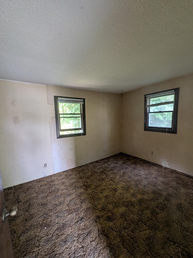 4989 W Jordan Rd, Weidman, MI 48893 - carpeted spare room featuring healthy amount of natural light and a textured ceiling