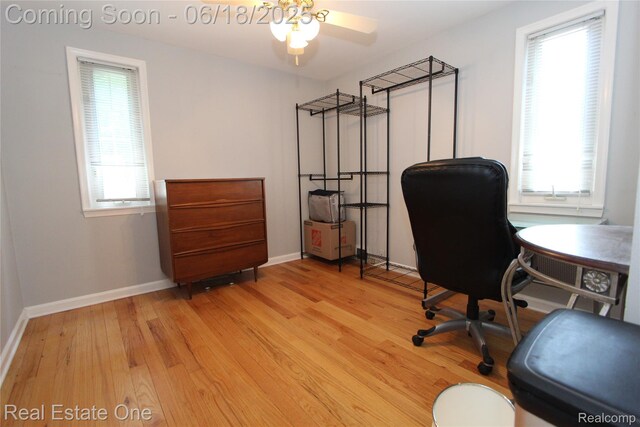 1670 Graefield Rd, Birmingham, MI 48009 - office space with light wood-style flooring and ceiling fan