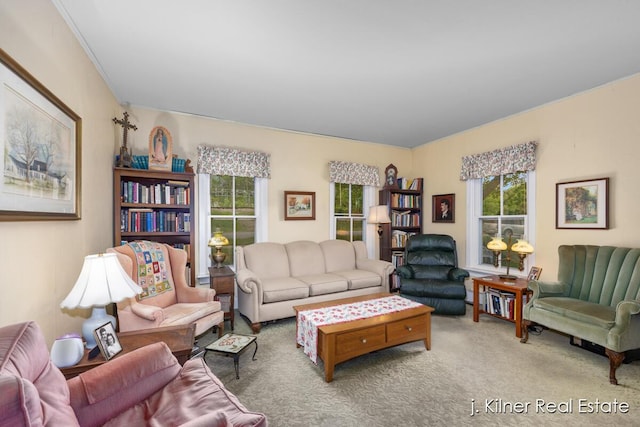7115 Bronson St SE, Ada, MI 49301 - carpeted living area with plenty of natural light
