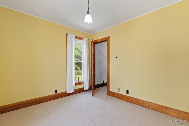 203 S Main St, Onsted, MI 49265 - spare room with light carpet and crown molding