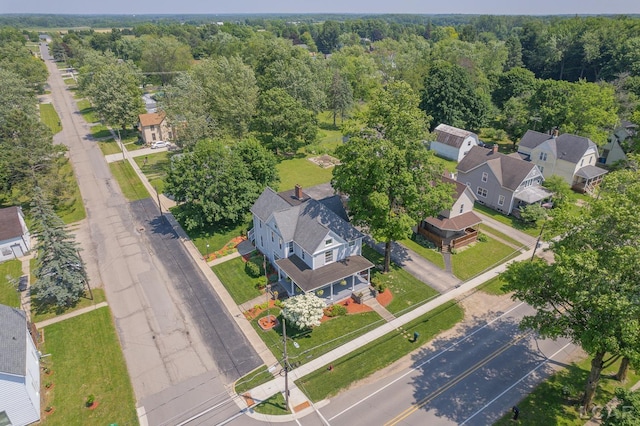 203 S Main St, Onsted, MI 49265 - aerial view of residential area with a heavily wooded area