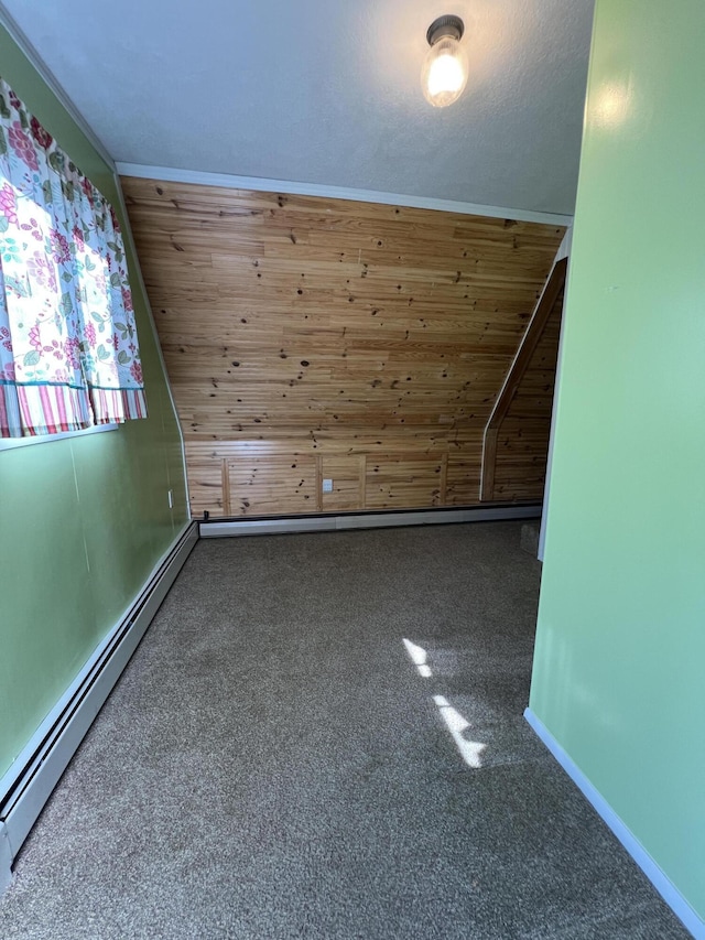 7428 Ansley Ln, Hillsdale, MI 49242 - carpeted spare room with a baseboard heating unit and wooden walls
