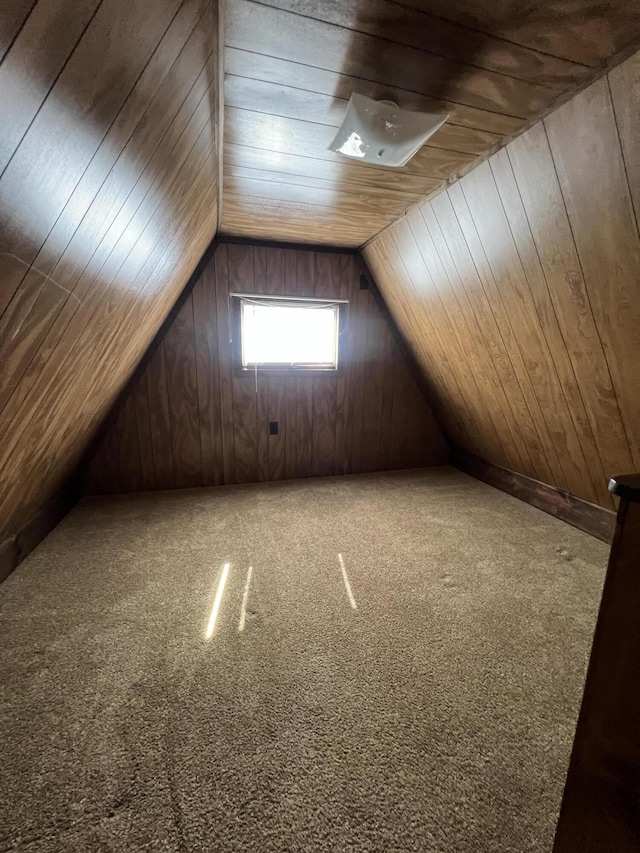7428 Ansley Ln, Hillsdale, MI 49242 - additional living space featuring wood ceiling, vaulted ceiling, carpet floors, and wooden walls
