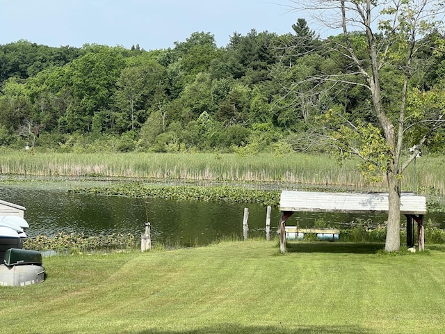 7428 Ansley Ln, Hillsdale, MI 49242 - view of green lawn with a water view, a forest view, and a carport