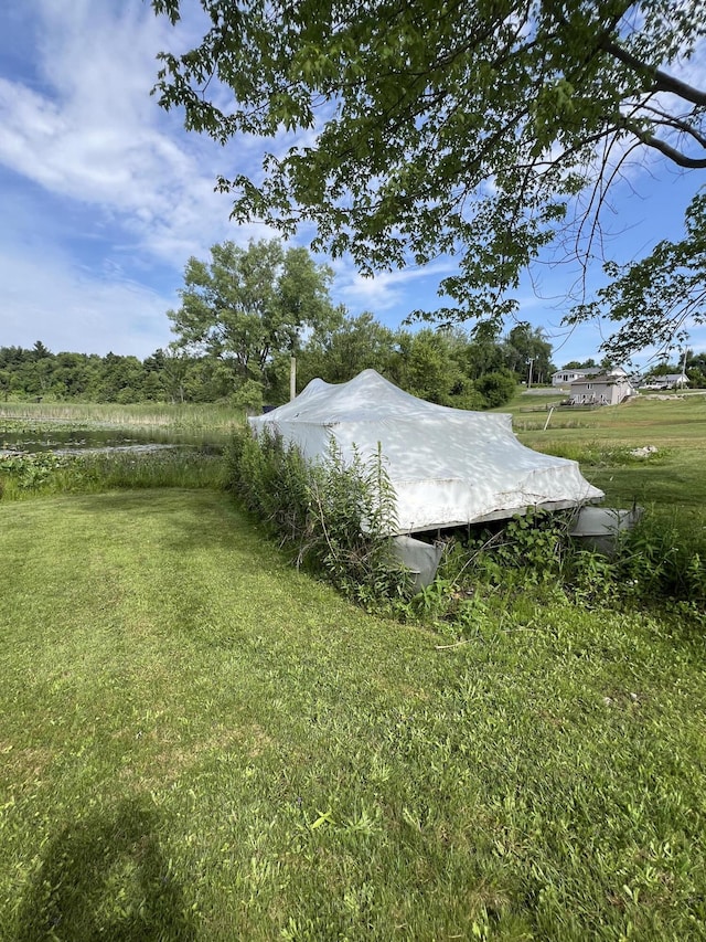 7428 Ansley Ln, Hillsdale, MI 49242 - view of green lawn