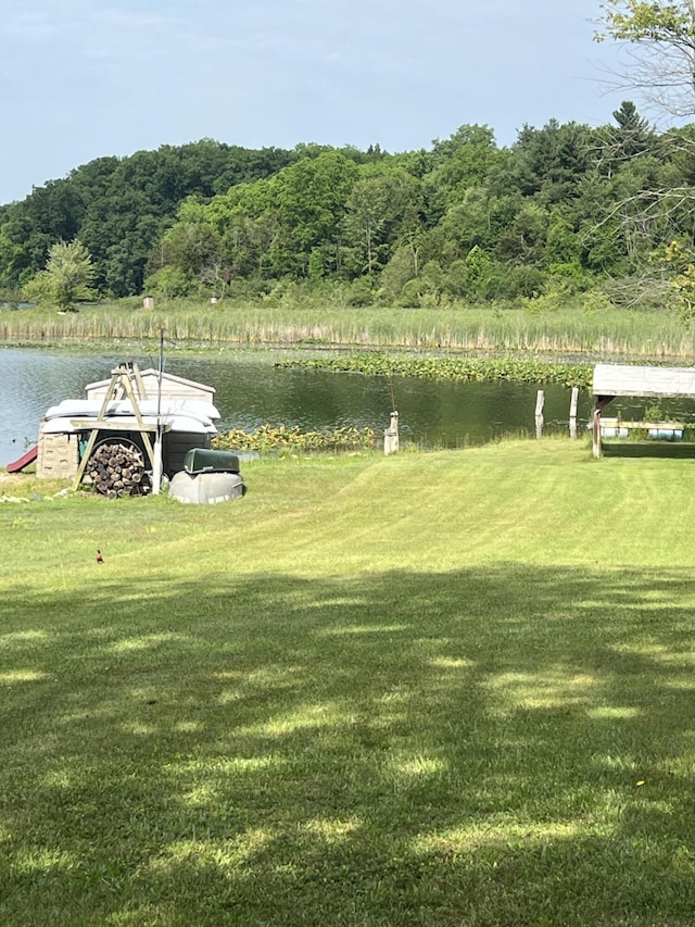 7428 Ansley Ln, Hillsdale, MI 49242 - view of green lawn featuring a water view, a boat dock, and a forest view