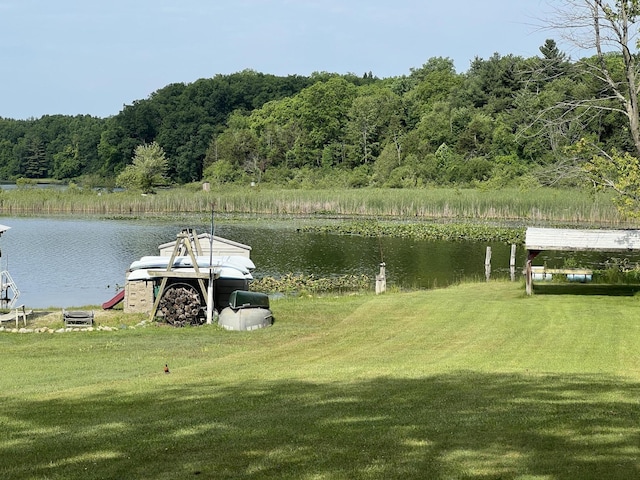 7428 Ansley Ln, Hillsdale, MI 49242 - dock featuring a water view, a lawn, and a view of trees