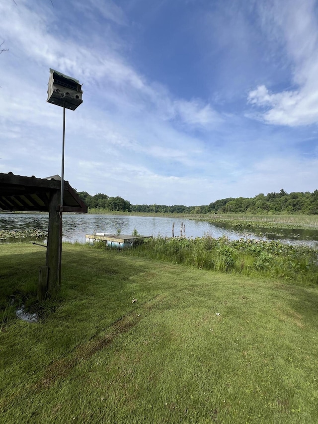 7428 Ansley Ln, Hillsdale, MI 49242 - water view