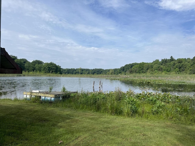 7428 Ansley Ln, Hillsdale, MI 49242 - water view with a heavily wooded area and a dock