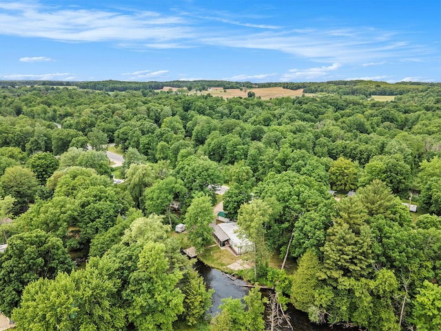 8933 E M 20, Hesperia, MI 49421 - aerial view of a forest