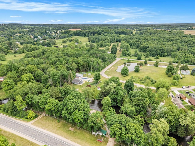 8933 E M 20, Hesperia, MI 49421 - drone / aerial view of a forest