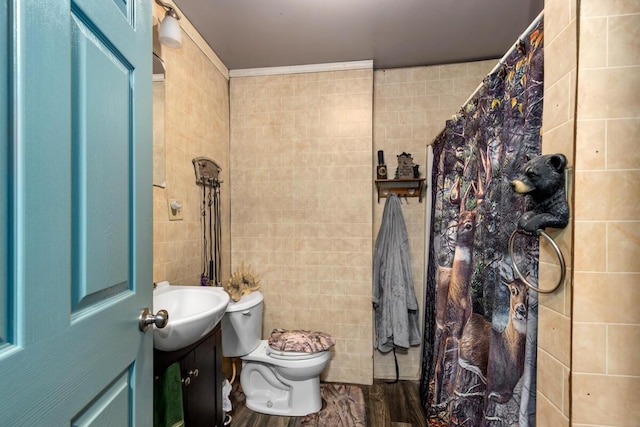 11681 Heron Dr, Lakeview, MI 48850 - bathroom with tile walls, vanity, and a shower with shower curtain