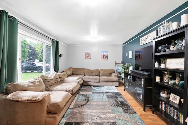 29206 Guy St, Southfield, MI 48076 - living area with light wood-style flooring and ornamental molding