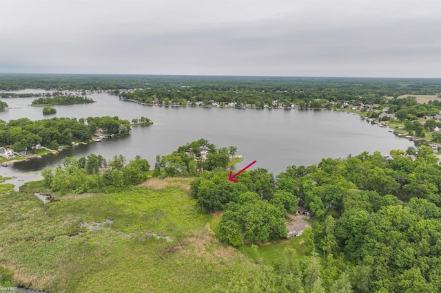 7199 Switzer Dr, Linden, MI 48451 - drone / aerial view of a large body of water