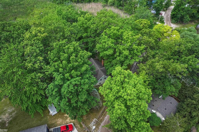 7199 Switzer Dr, Linden, MI 48451 - bird's eye view