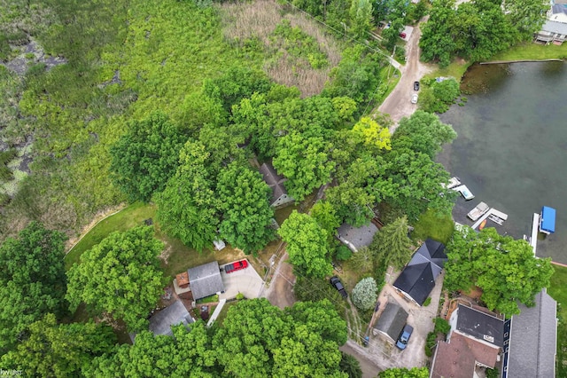 7199 Switzer Dr, Linden, MI 48451 - aerial view of a nearby body of water