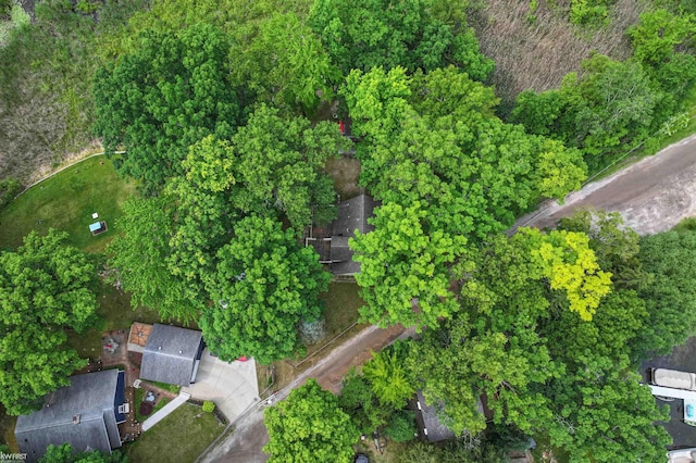 7199 Switzer Dr, Linden, MI 48451 - view of property location