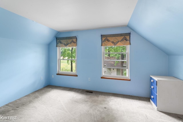 7199 Switzer Dr, Linden, MI 48451 - bonus room with lofted ceiling and light carpet