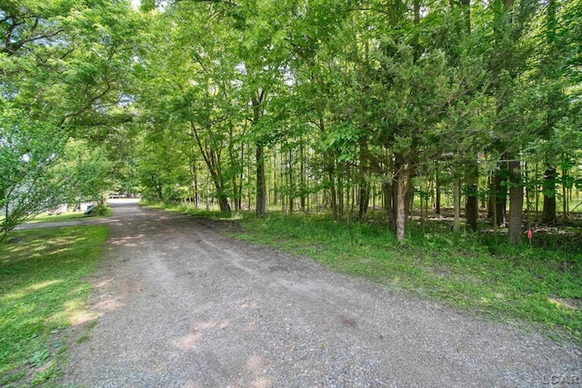 306 S Washington St, Manchester, MI 48158 - view of road