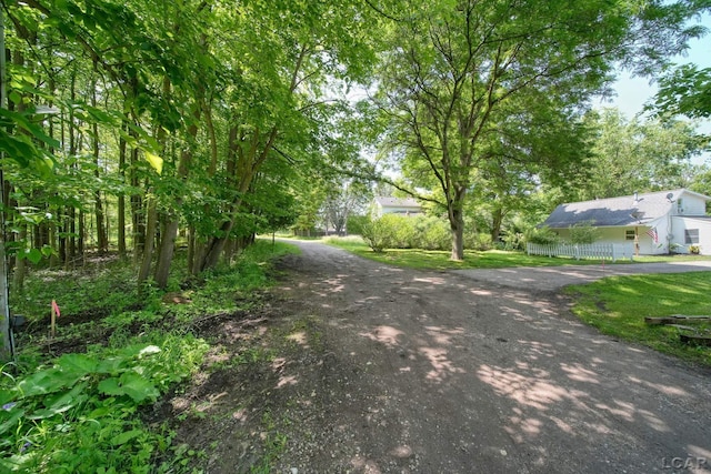 306 S Washington St, Manchester, MI 48158 - view of dirt / gravel driveway
