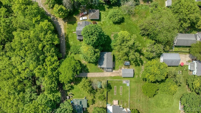 306 S Washington St, Manchester, MI 48158 - bird's eye view