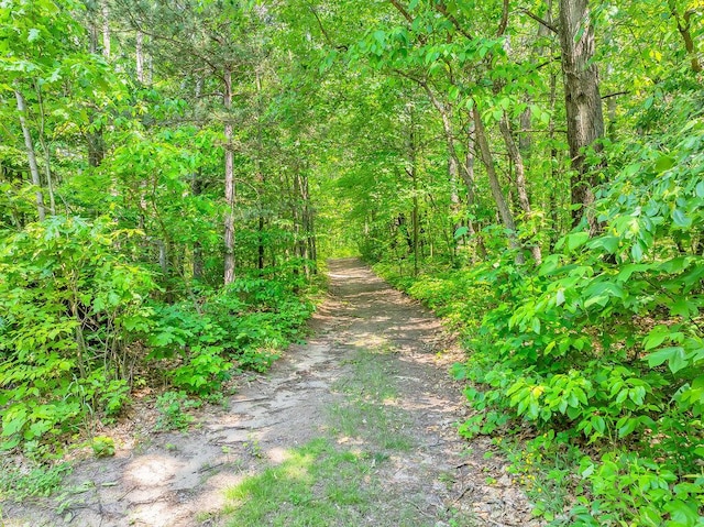54727 Twin Lakes Rd, Dowagiac, MI 49047 - view of dirt / gravel road featuring a view of trees