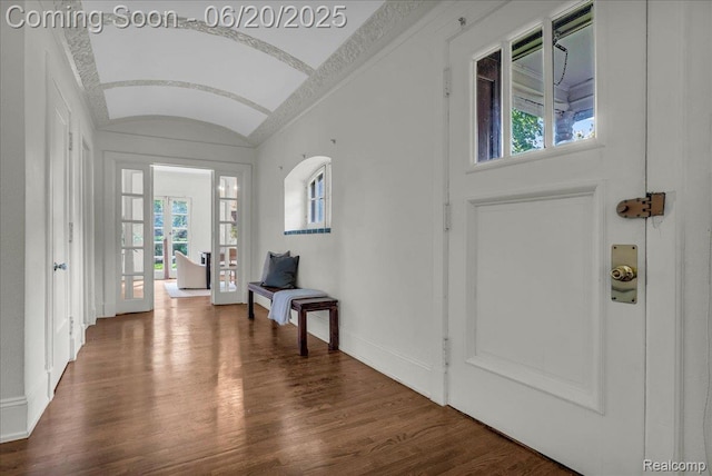 1710 Seminole St, Detroit, MI 48214 - entryway featuring lofted ceiling, dark wood-style flooring, and plenty of natural light