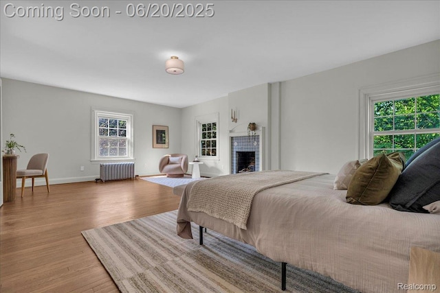 1710 Seminole St, Detroit, MI 48214 - bedroom with radiator heating unit, wood finished floors, and a fireplace