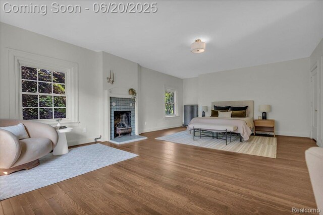 1710 Seminole St, Detroit, MI 48214 - bedroom with wood finished floors and a fireplace