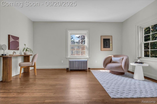 1710 Seminole St, Detroit, MI 48214 - office area featuring radiator and wood finished floors