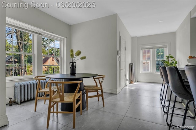 1710 Seminole St, Detroit, MI 48214 - dining room featuring radiator heating unit and plenty of natural light