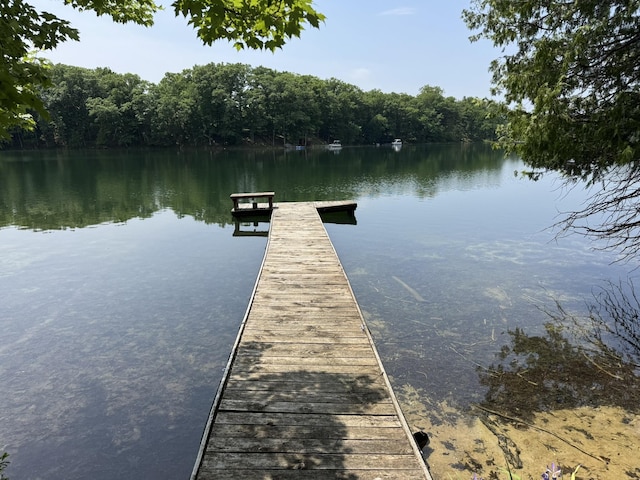 5859 N Utter Rd, Irons, MI 49644 - dock area with a water view and a wooded view