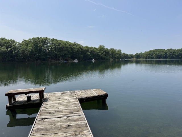 5859 N Utter Rd, Irons, MI 49644 - dock with a water view and a forest view