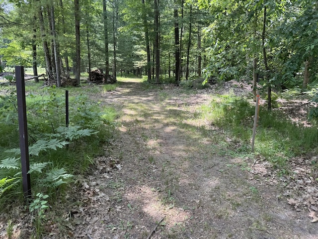 5859 N Utter Rd, Irons, MI 49644 - view of woods