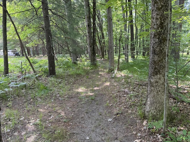 5859 N Utter Rd, Irons, MI 49644 - view of wooded area